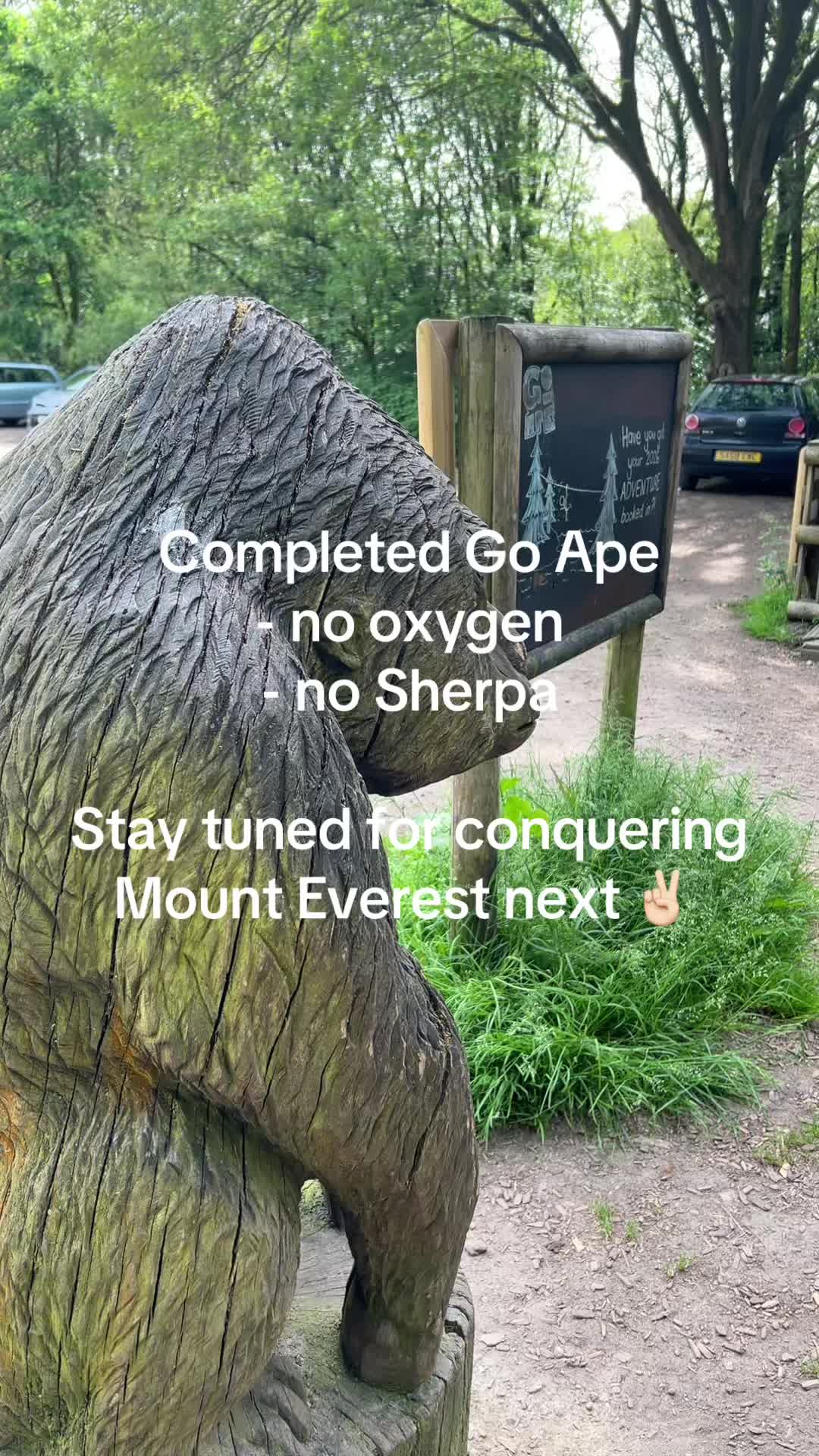 @Go Ape Rivington