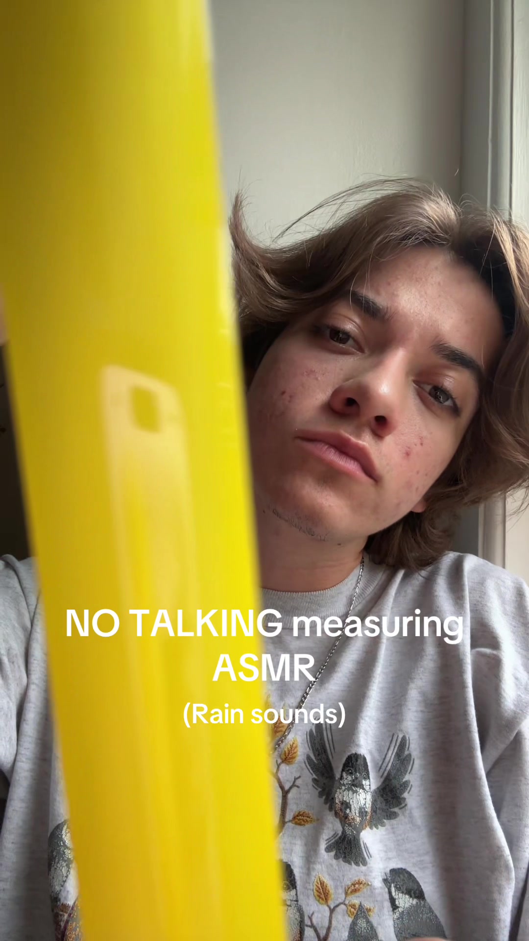 @Lemon ASMR