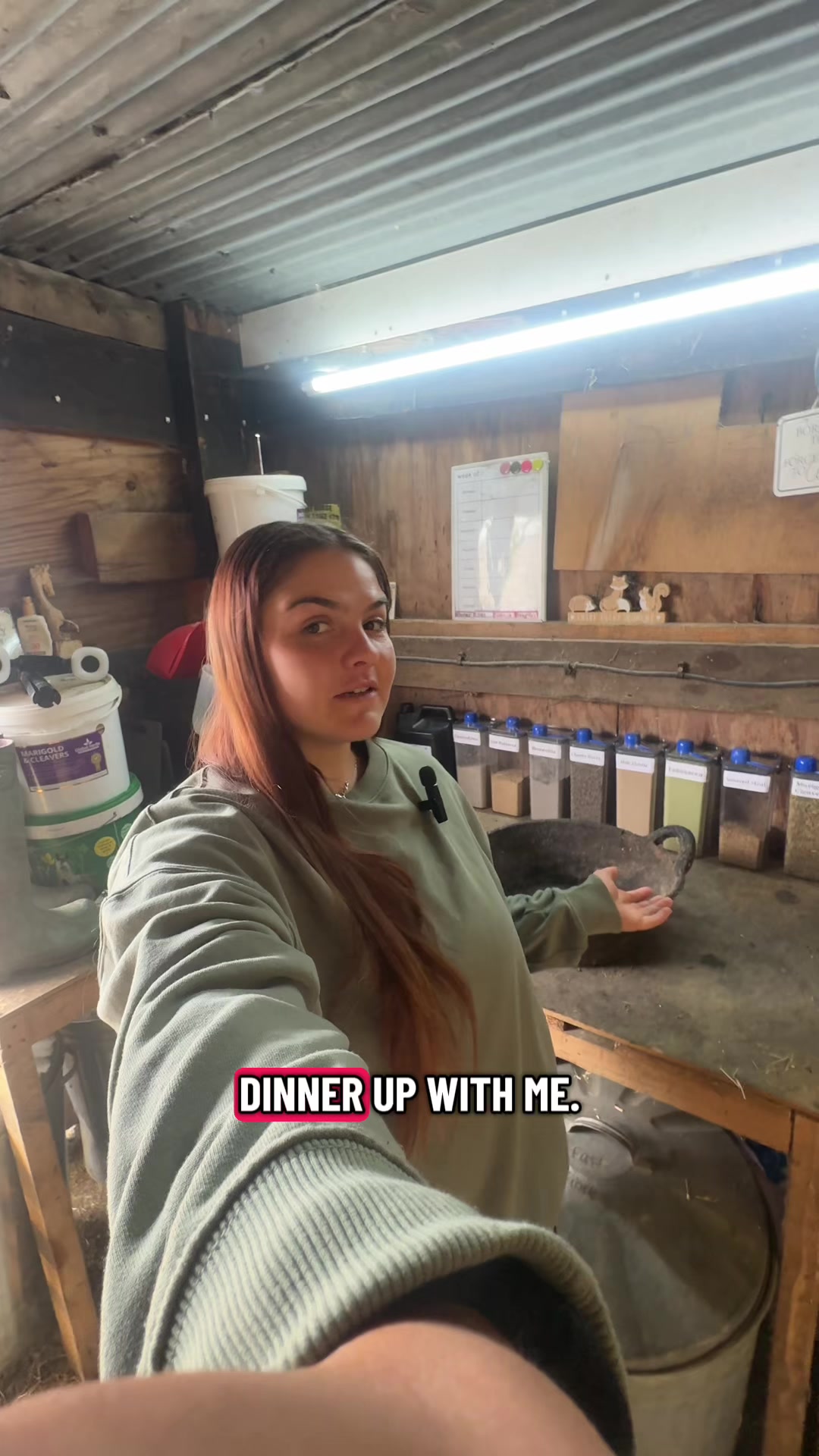 @Charlotte.Equestrian