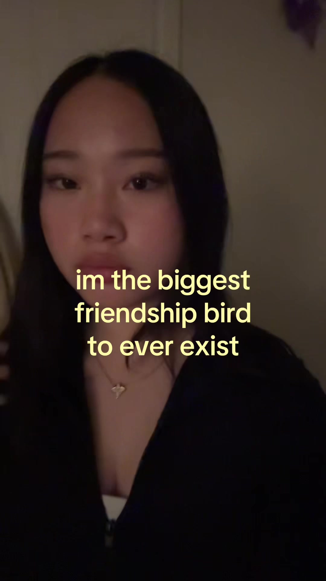 @meow