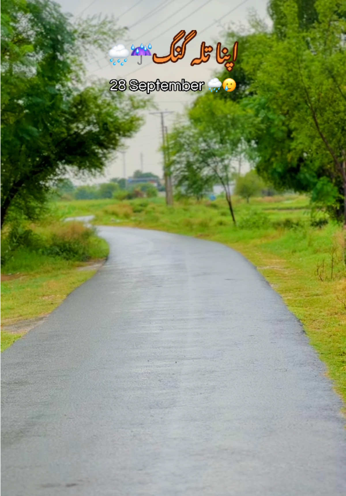 @🍁اپنا تلہ گنگ🦋🌸🥀