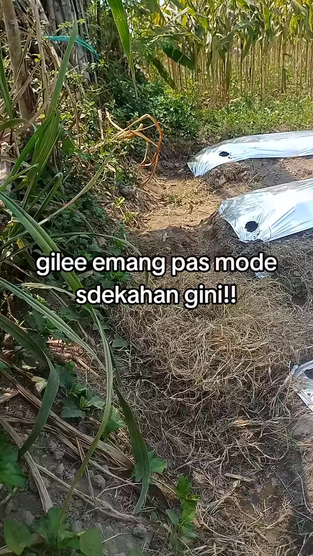 @smuabarang_ada