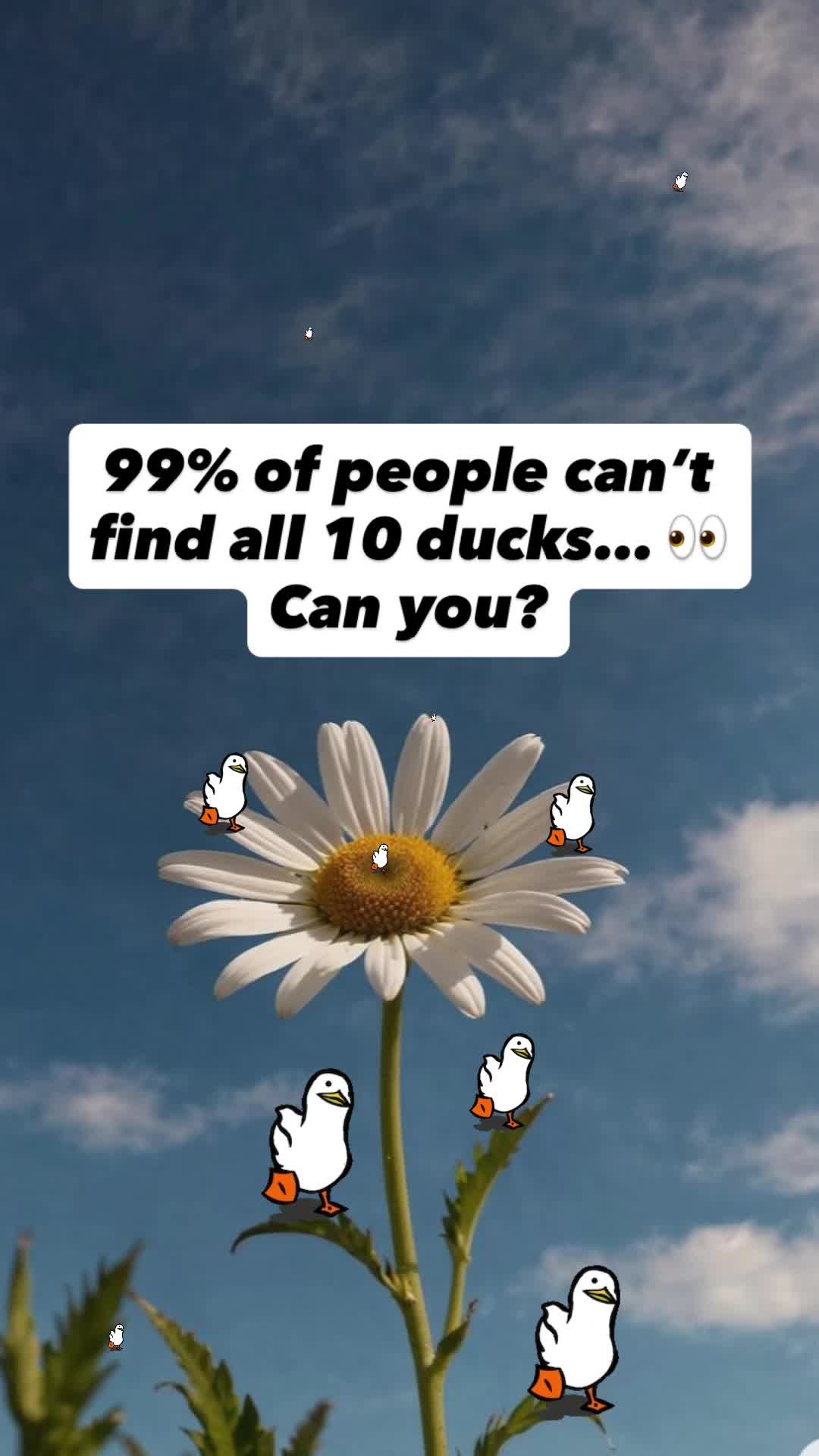@smartwords0