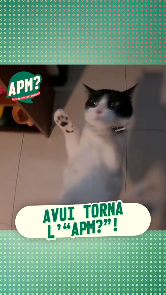 @ALGUNA PREGUNTA MÉS?