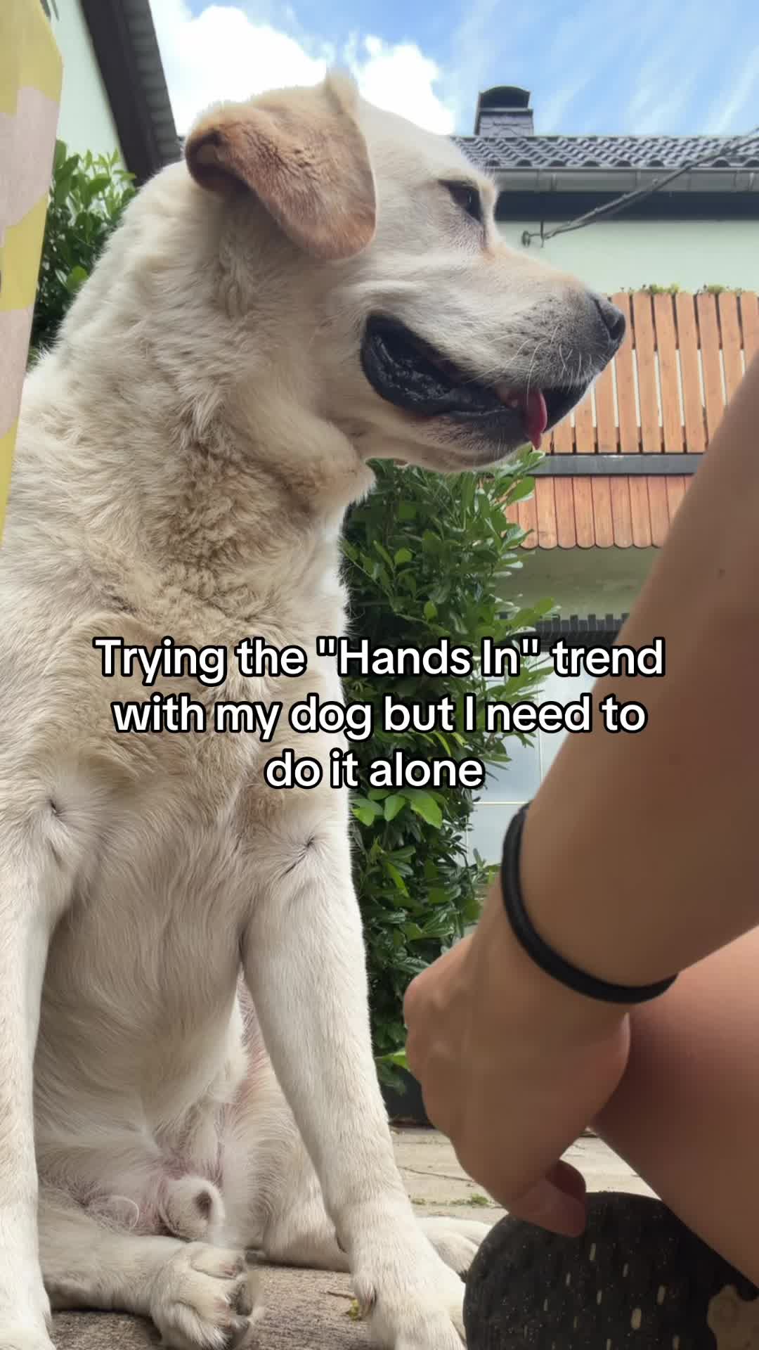 @Emily