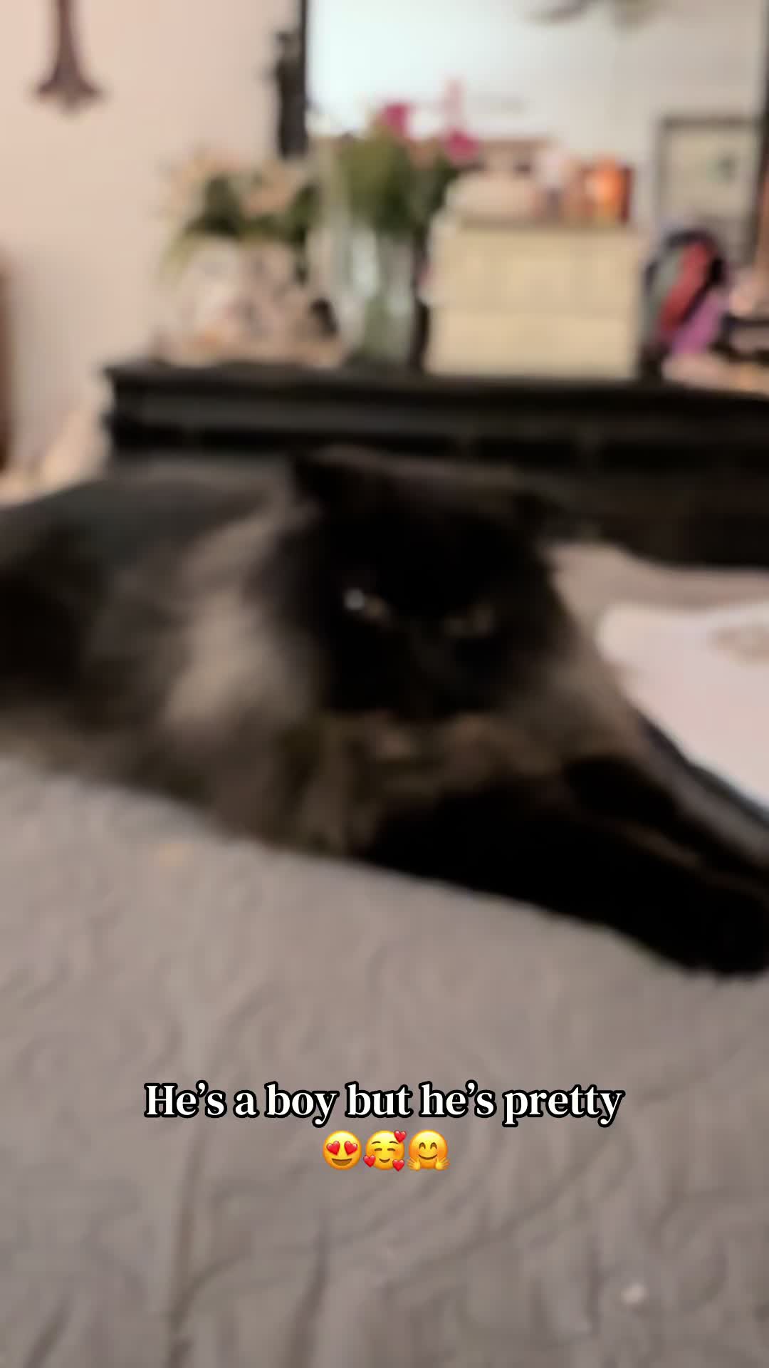 @Melissa’s9Lilfluffs