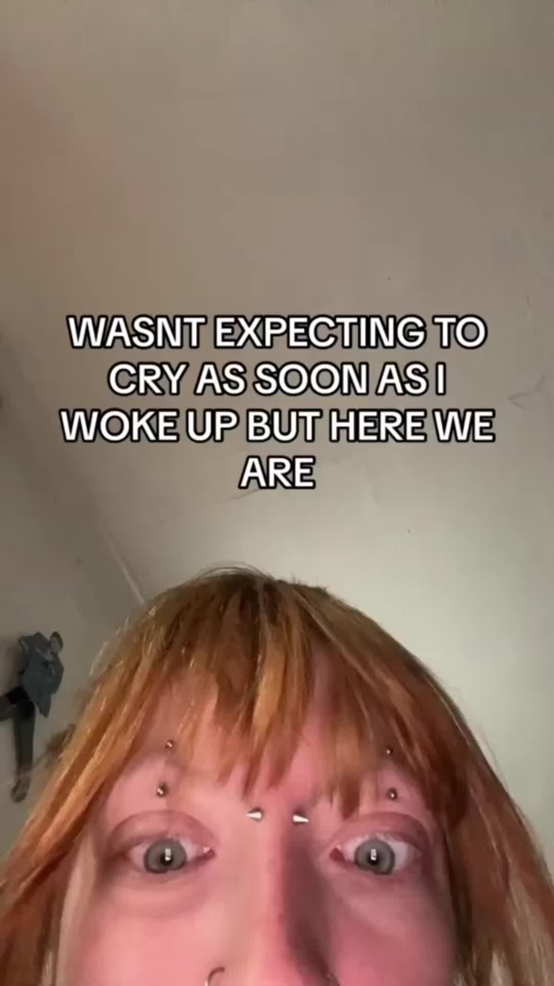 @tam🦇