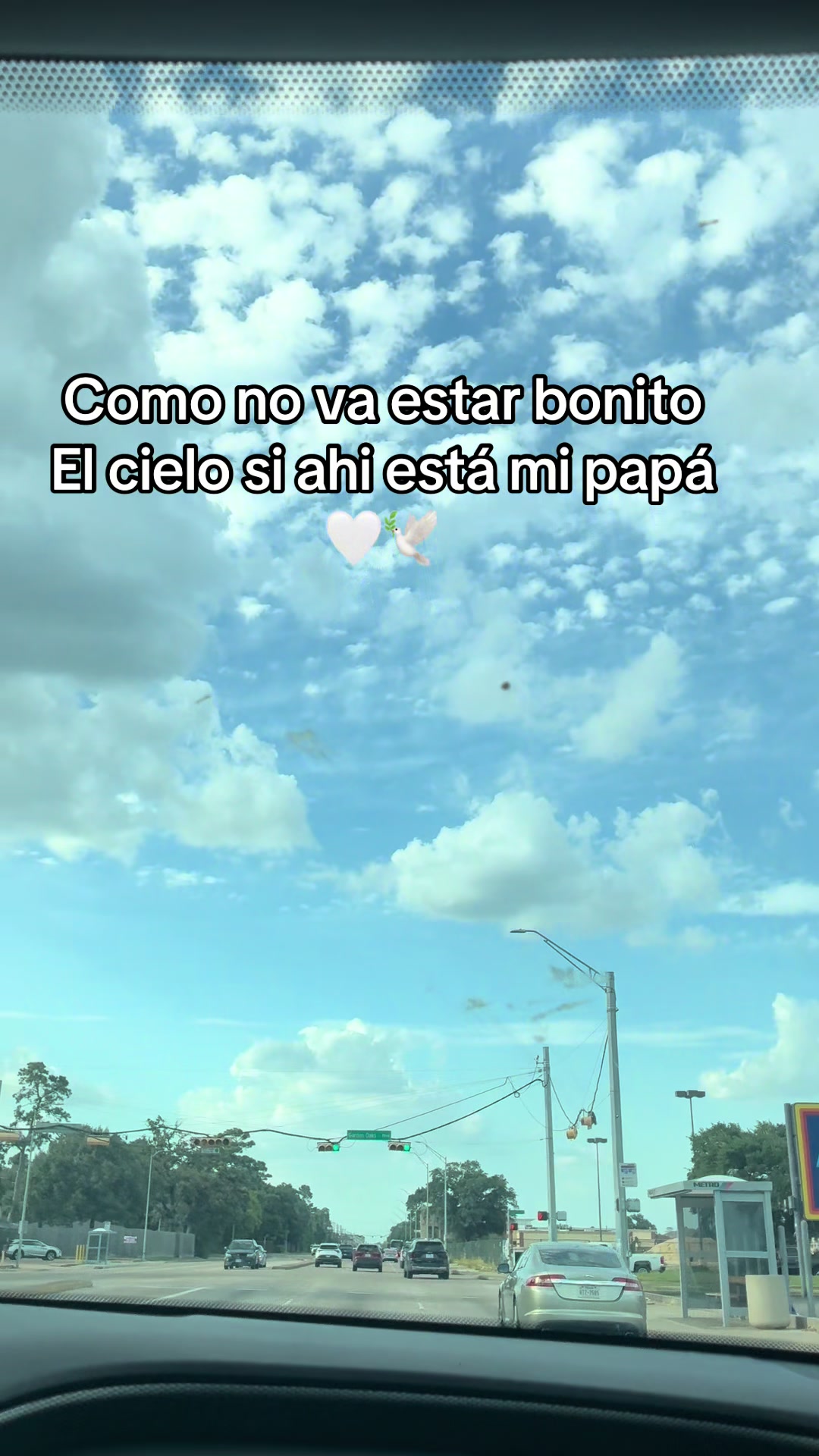 @Cinthia Z