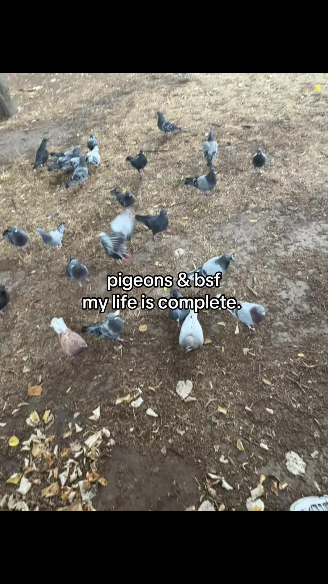 @luvmyangeldust666