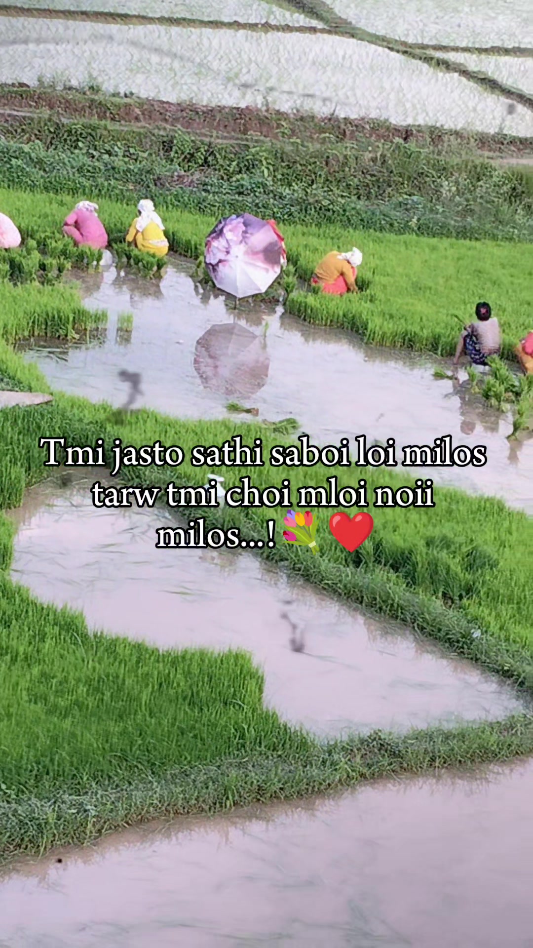 @💔Ꮭ💔Ꭷ💔ፈ💔Ꮧ💔Ꮭ💔Ꮙ💔Ꮧ💔Ꮭ💔Ꮛ 💔