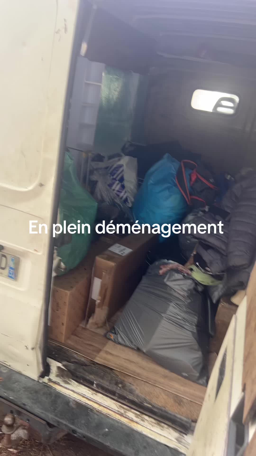 @amour et bêtise : le duo fou💜