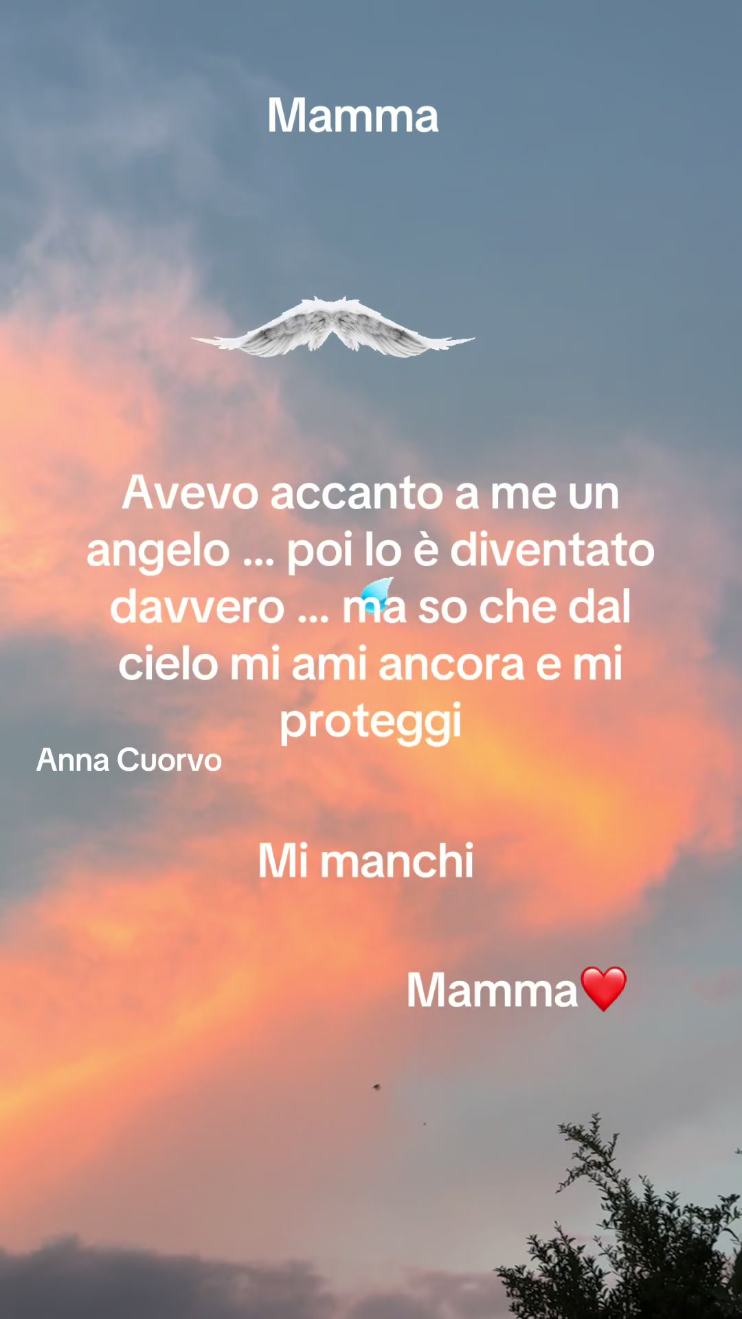 @annacuorvo877