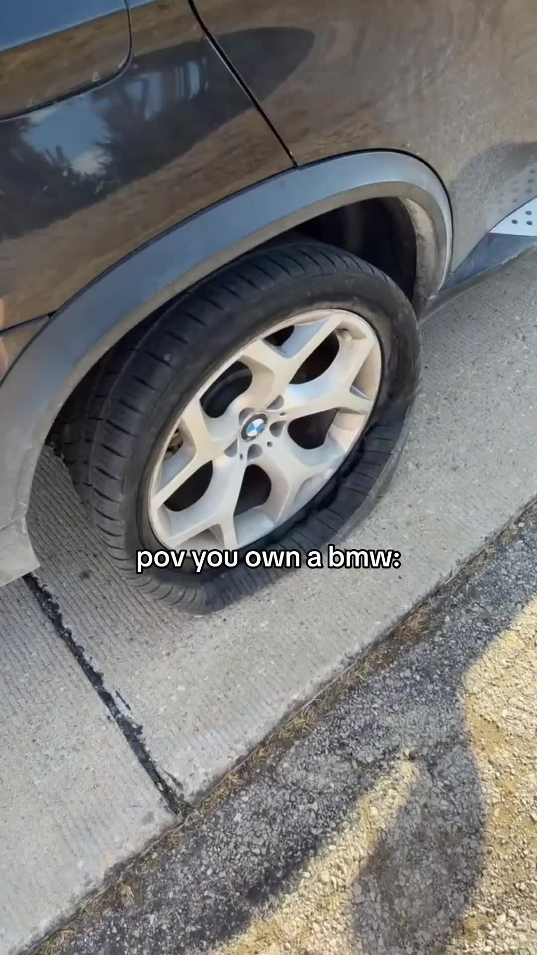 @annalyn