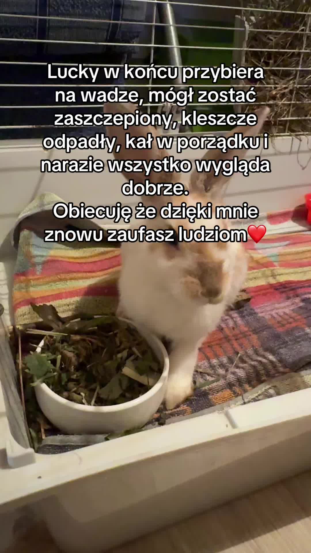 @Melania :)