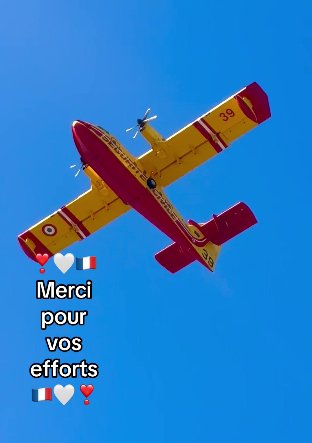 @🤍🦥🌿 TᗩᗰI 🌿🦥🤍