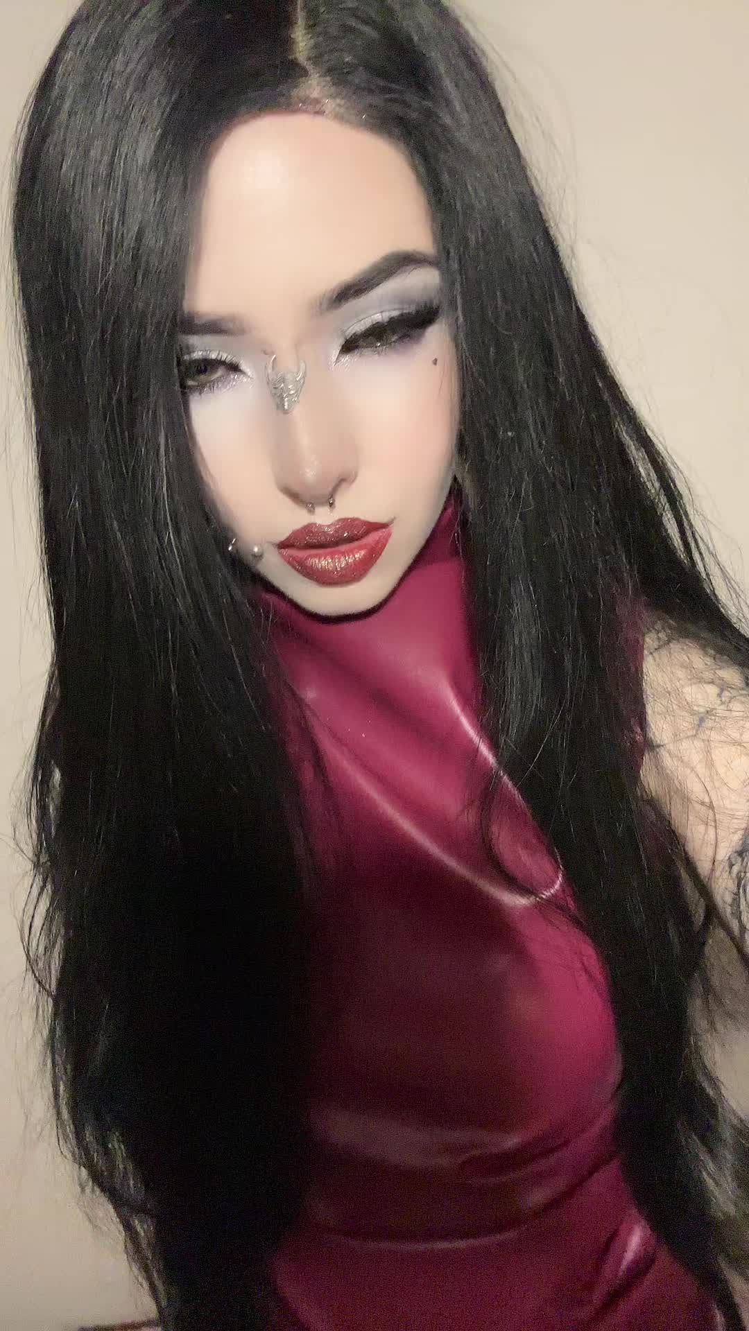 @dark dynasty