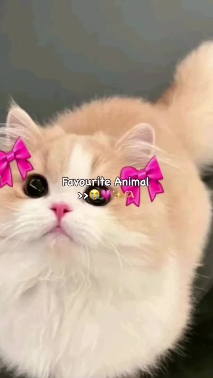 @𝓥𝓛𝓔𝓡𝓐 𝓚𝓞𝓢𝓞𝓥 🇽🇰