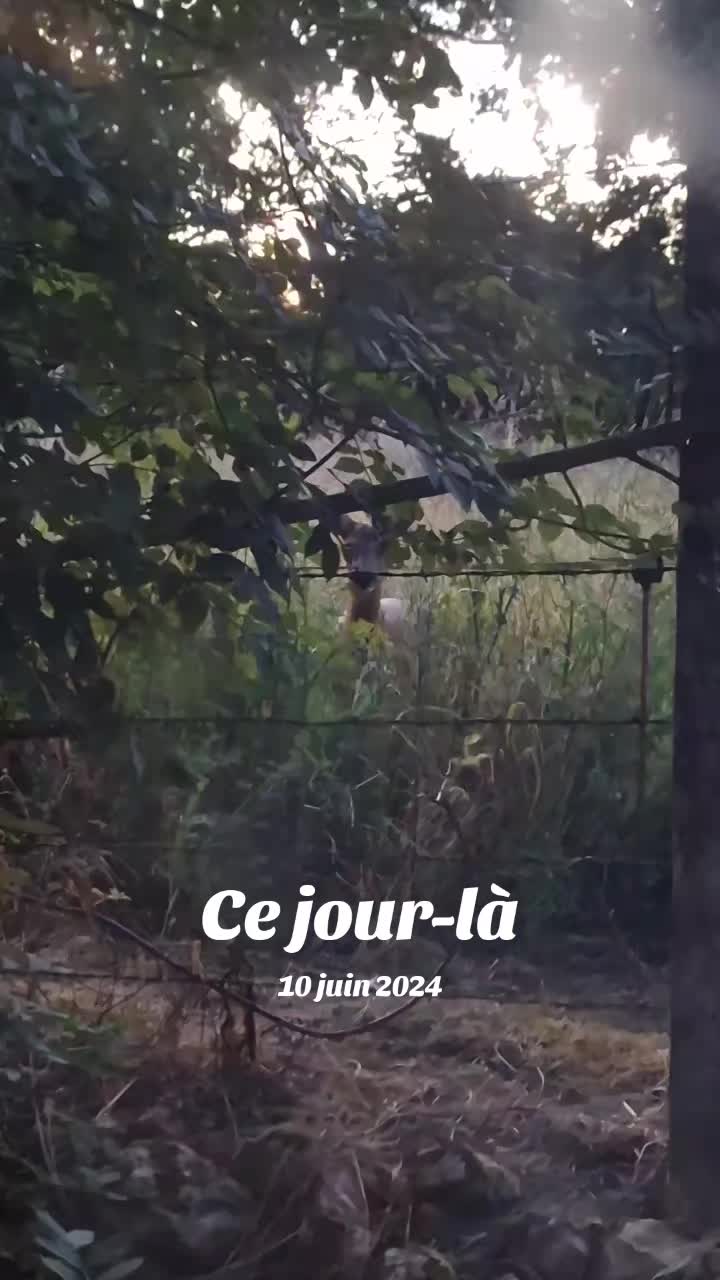 @VirGinie 27✌️💕