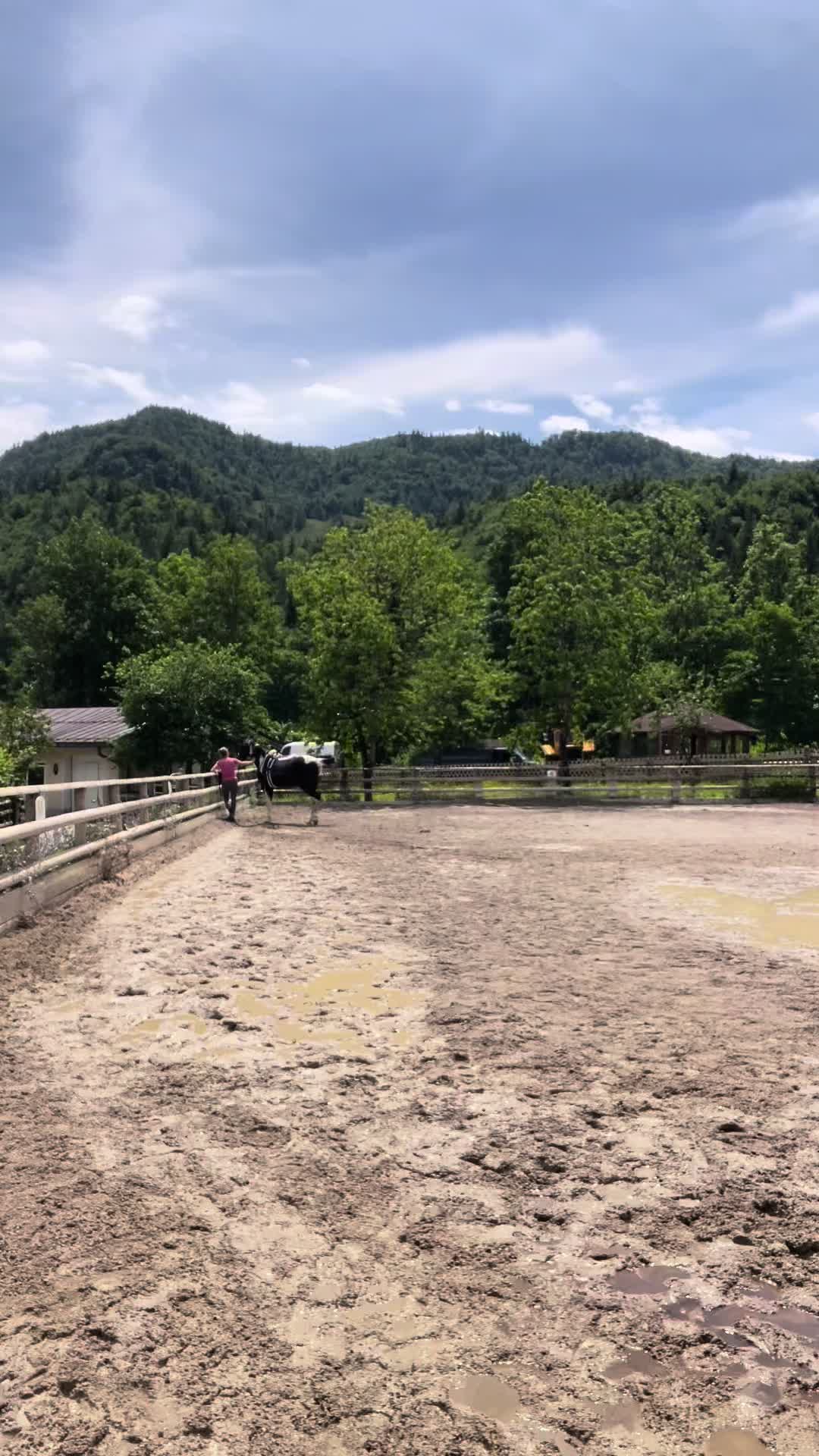 @Mountain Hill Ranch 🇦🇹