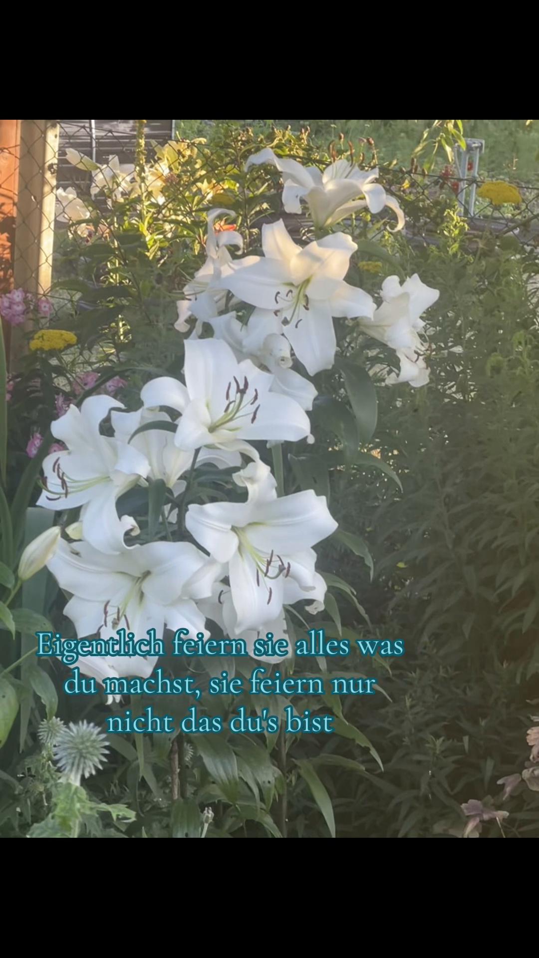 @Lilly🫦☺️