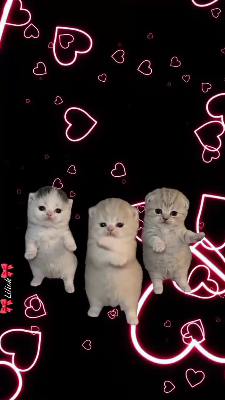 @🎀Liliok🎀