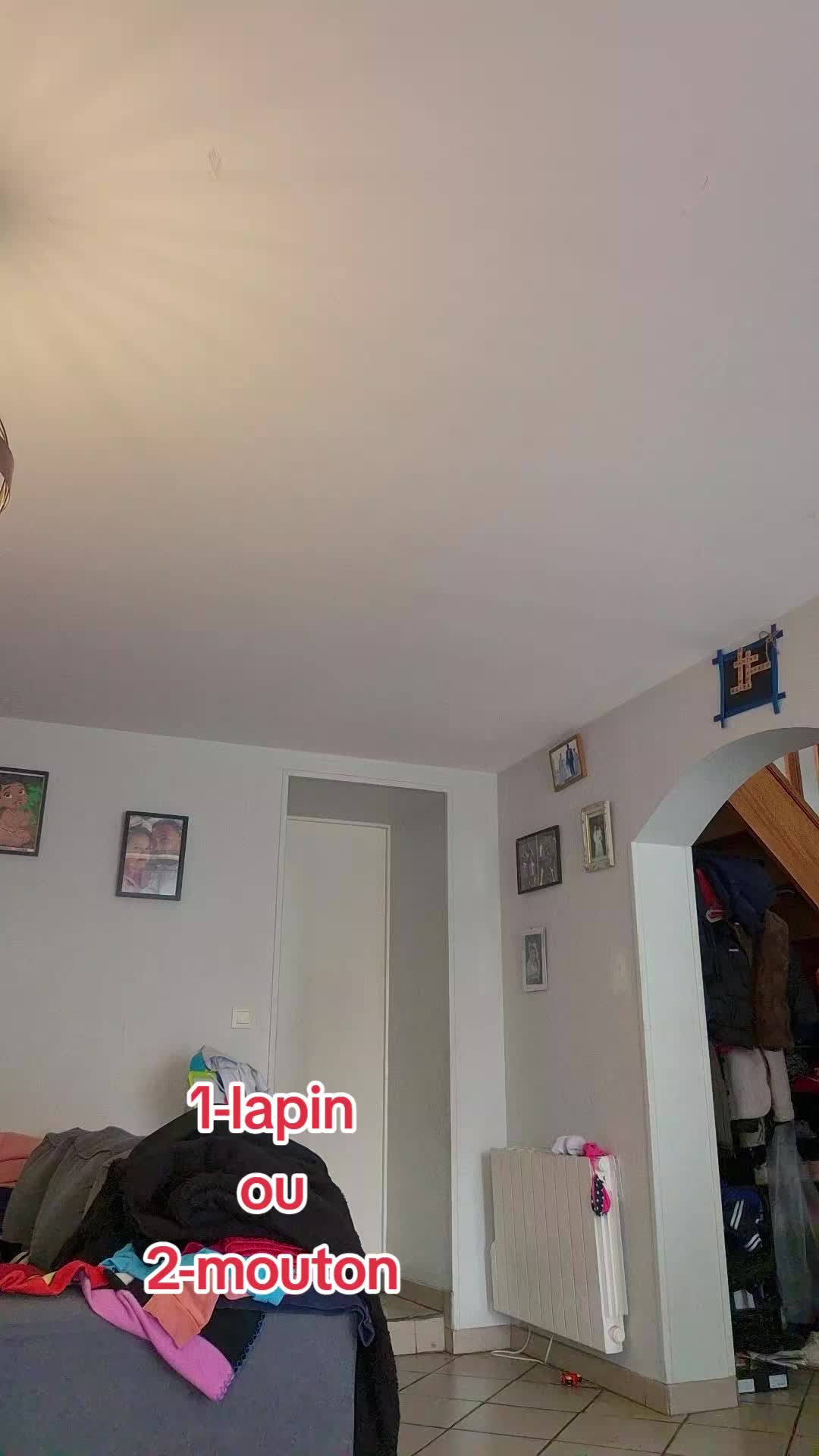 @fujitif13