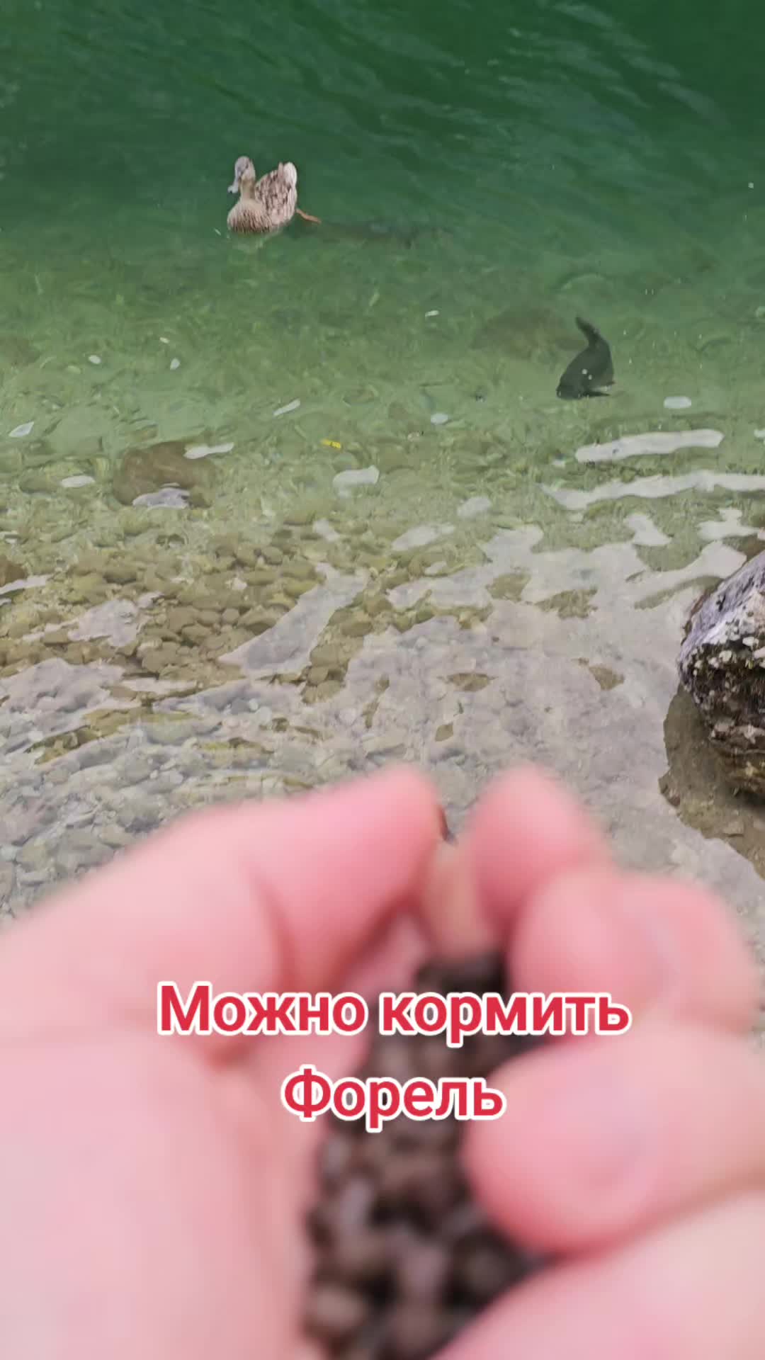 @Danila Master