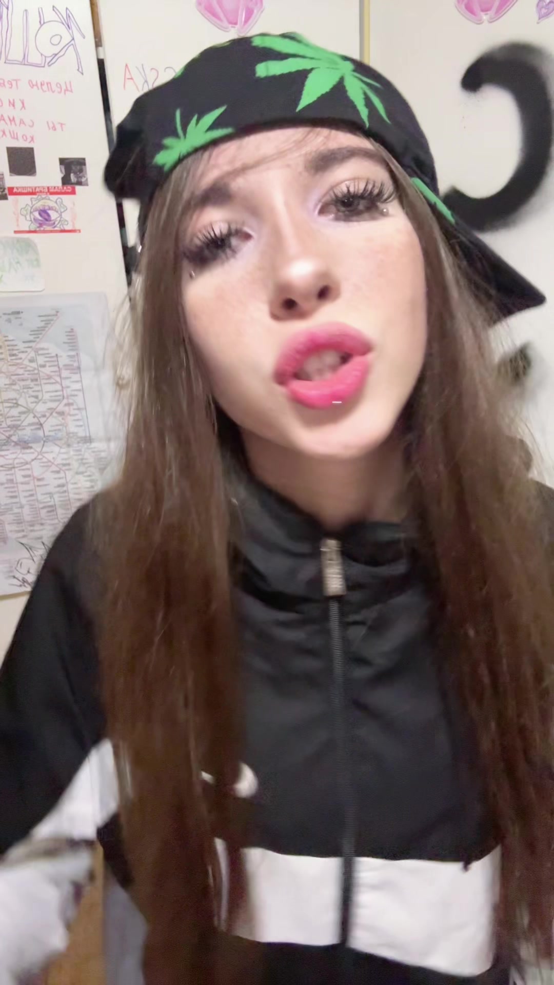 @кошка