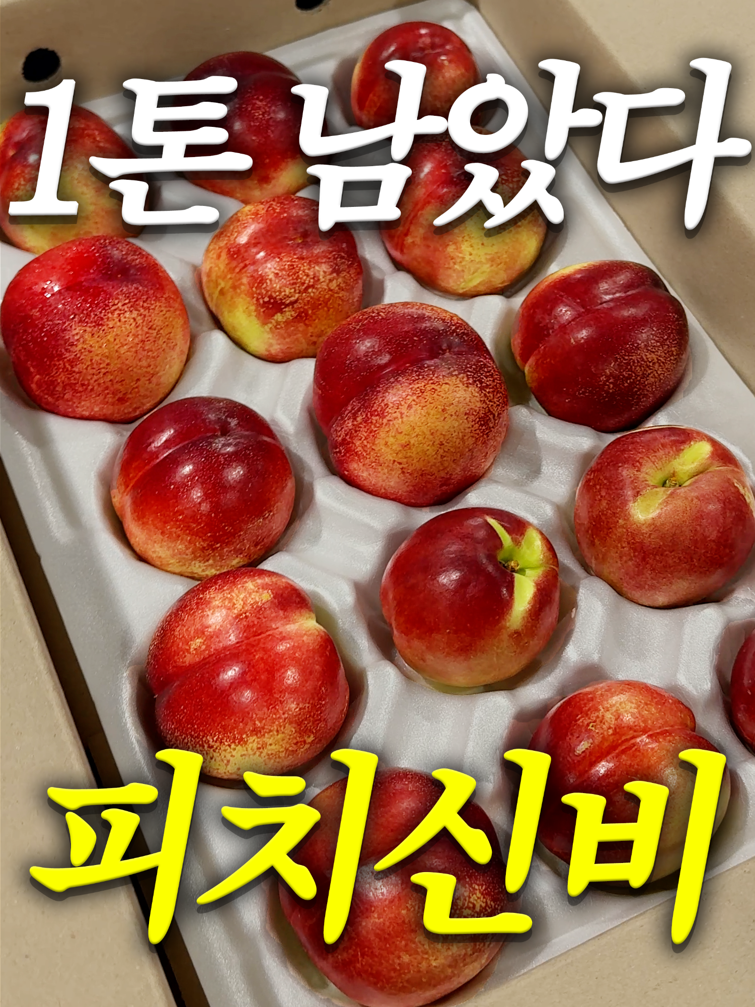 @해운대송사장