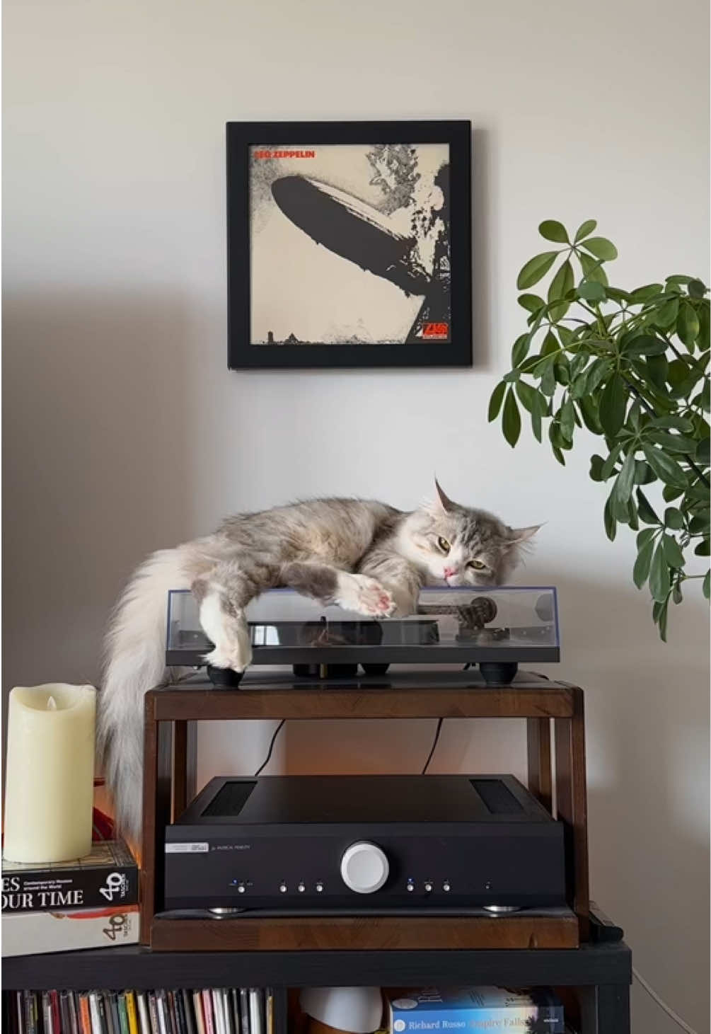 @Leon The Vinyl Cat
