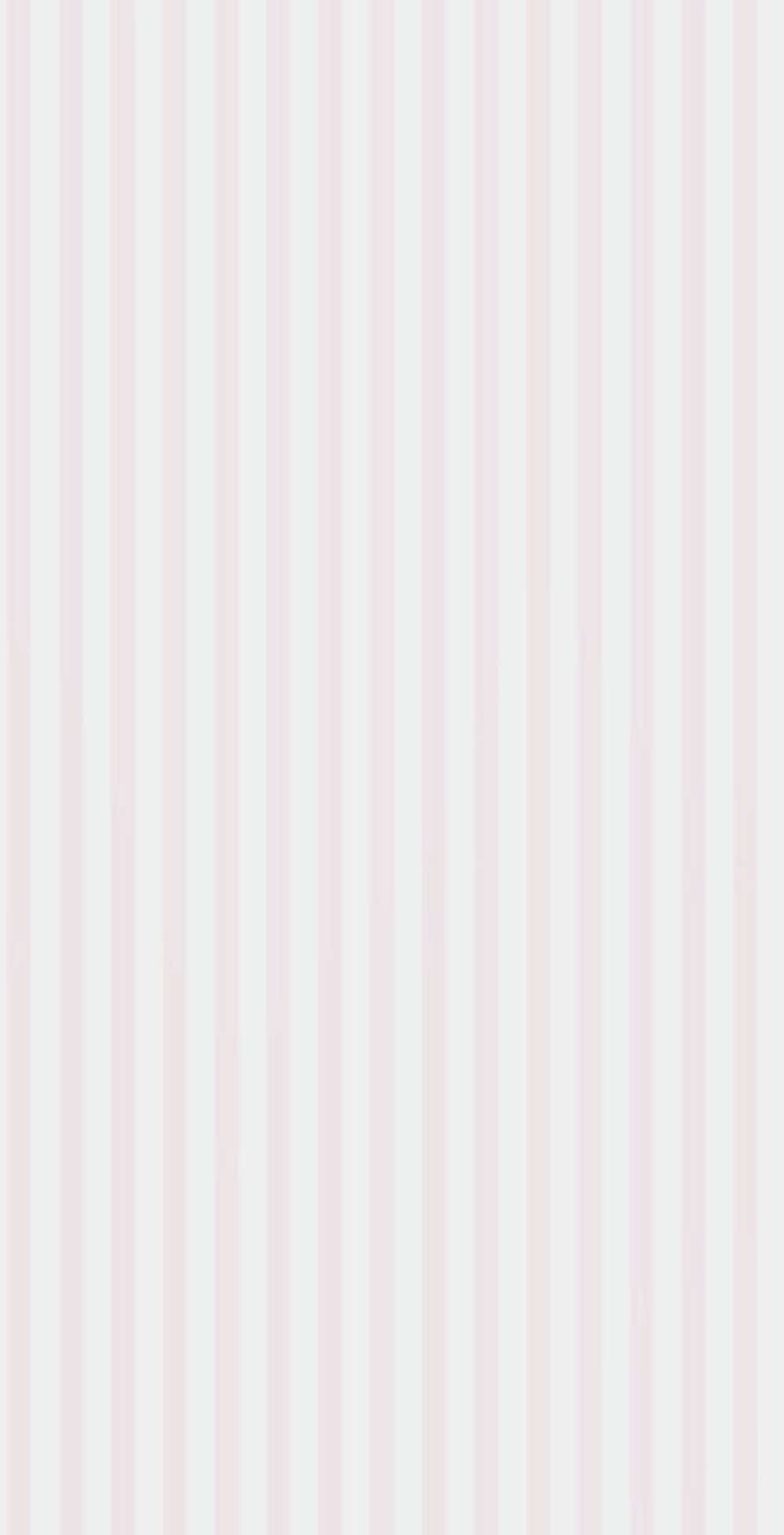 @ava🪽⋆˚࿔