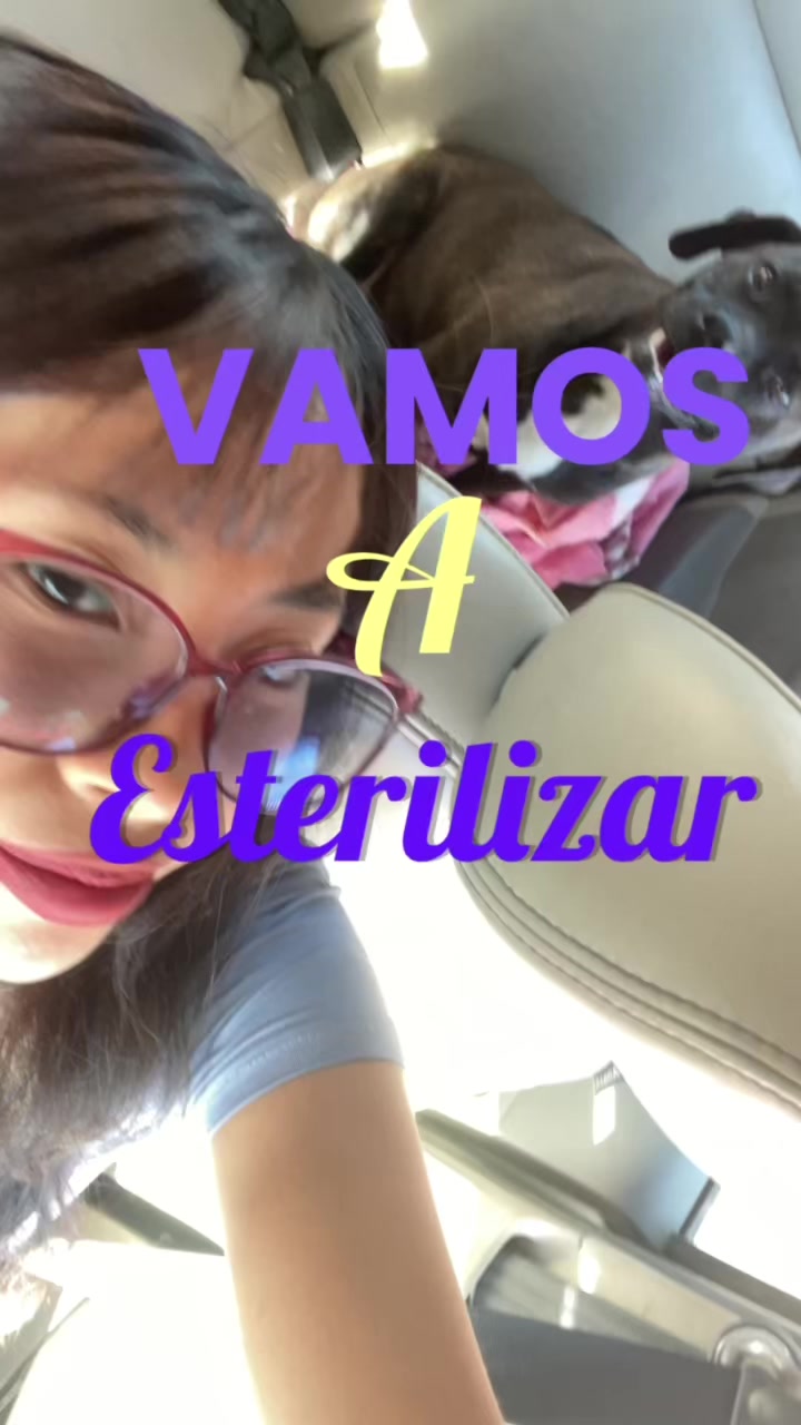 @iriysudiario