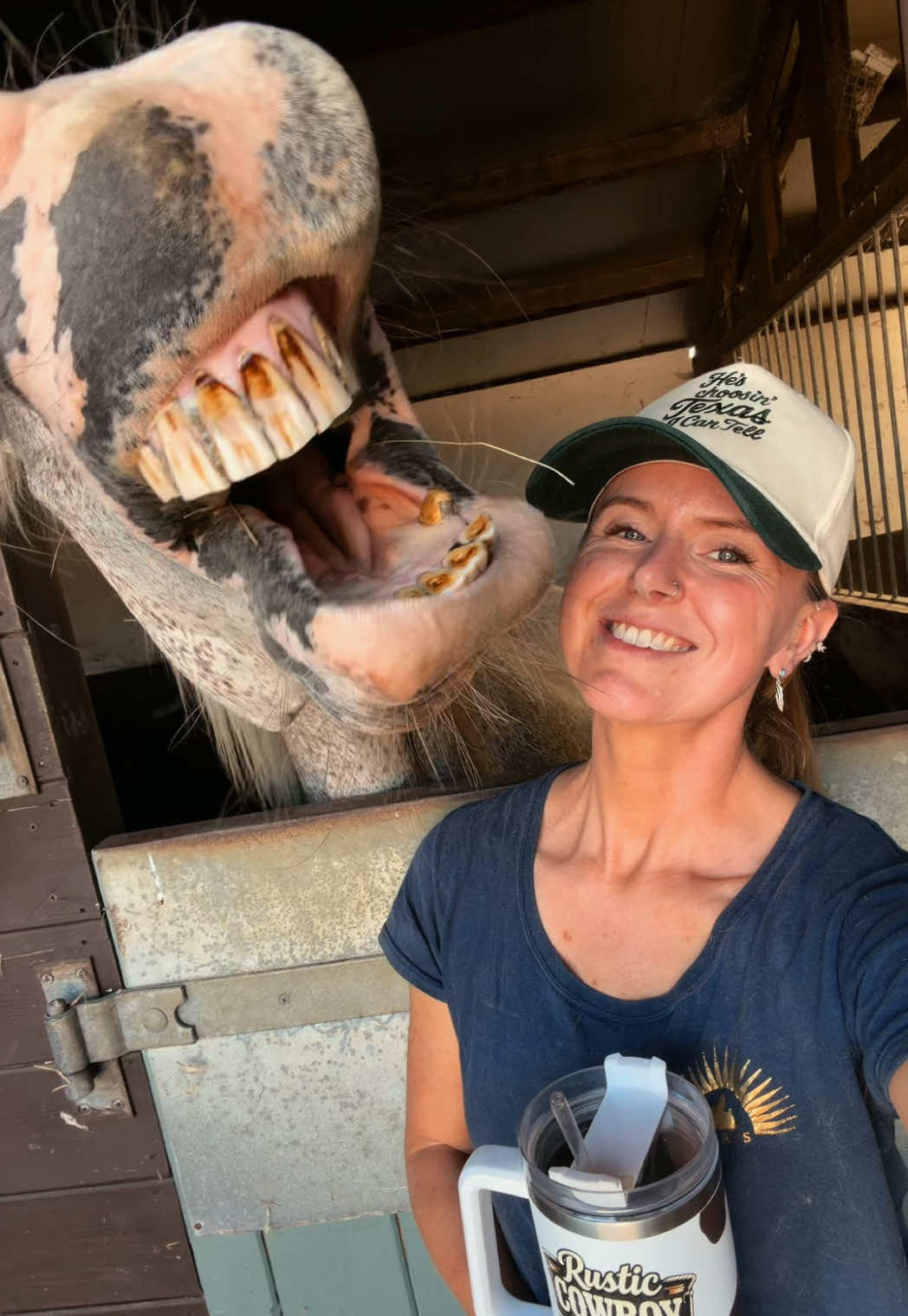 @TheSomersetCowgirl