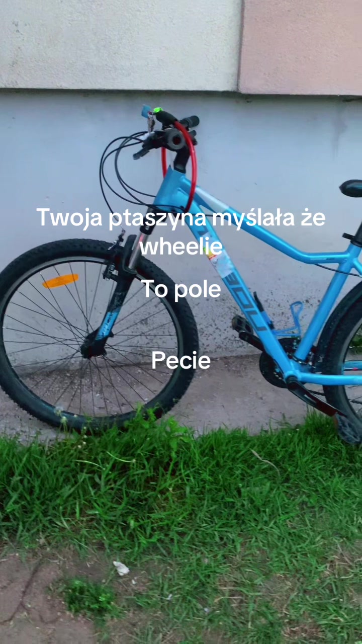 @MiFyTech_