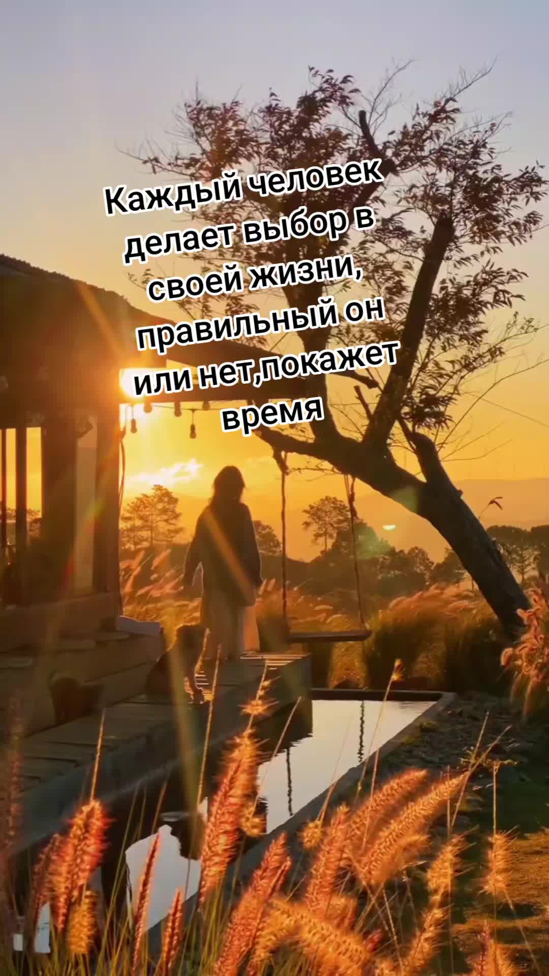 @Tetiana