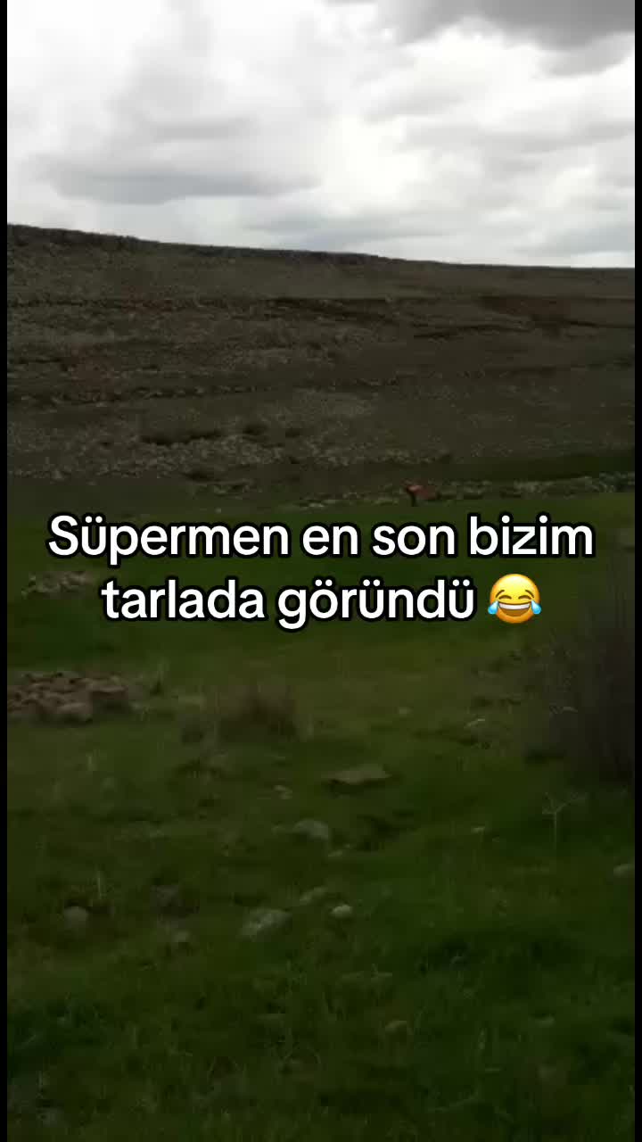 @Emrah Ceylan