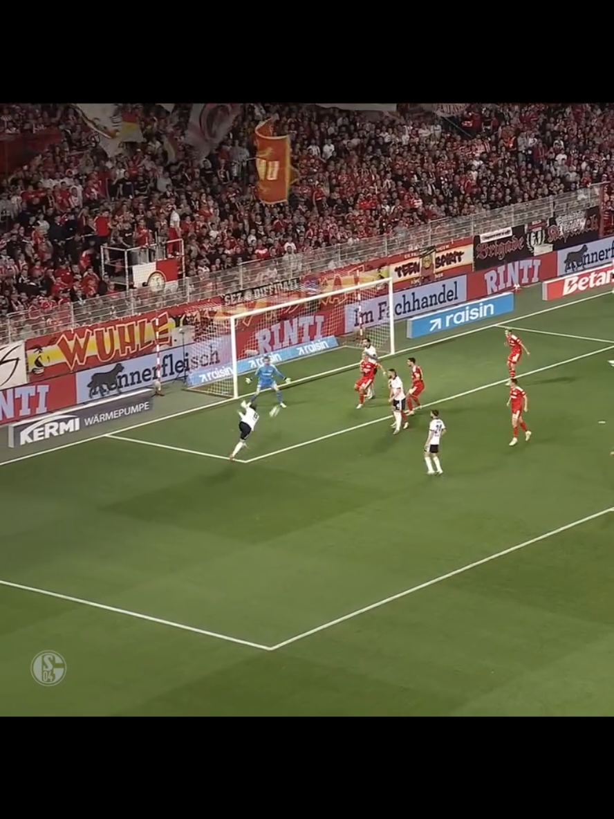 @Schalke.total