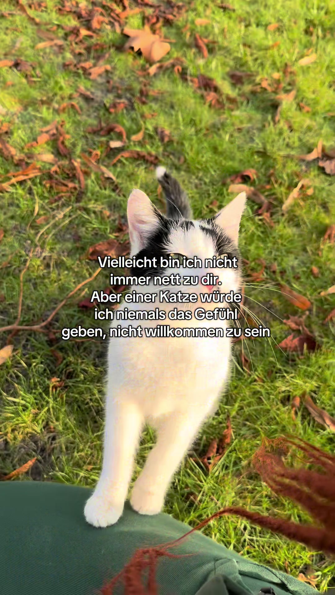 @_einfach_rissi_