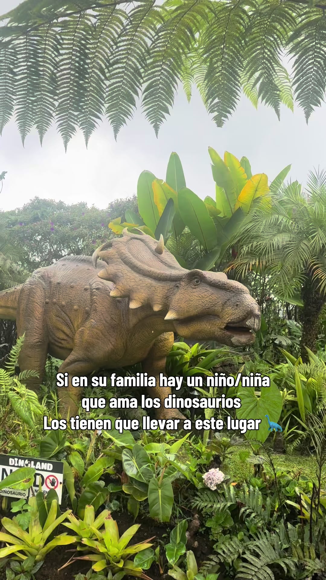 @Esteban Ramirez