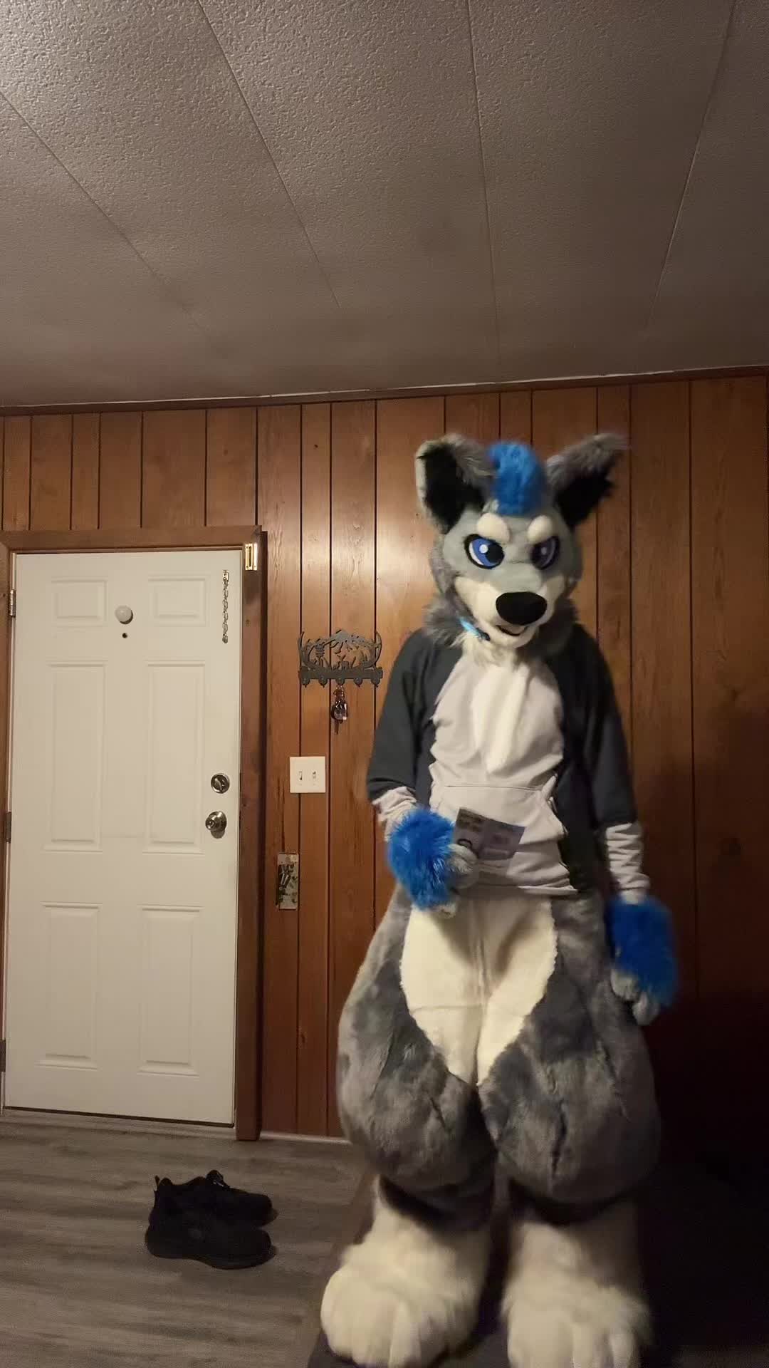 @BlueSilver_Wolf