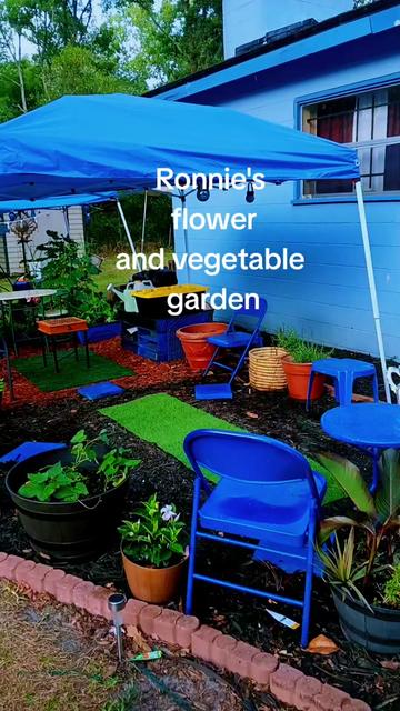 @Ronnie's garden🍅🫑🥬🥒🌻🌺