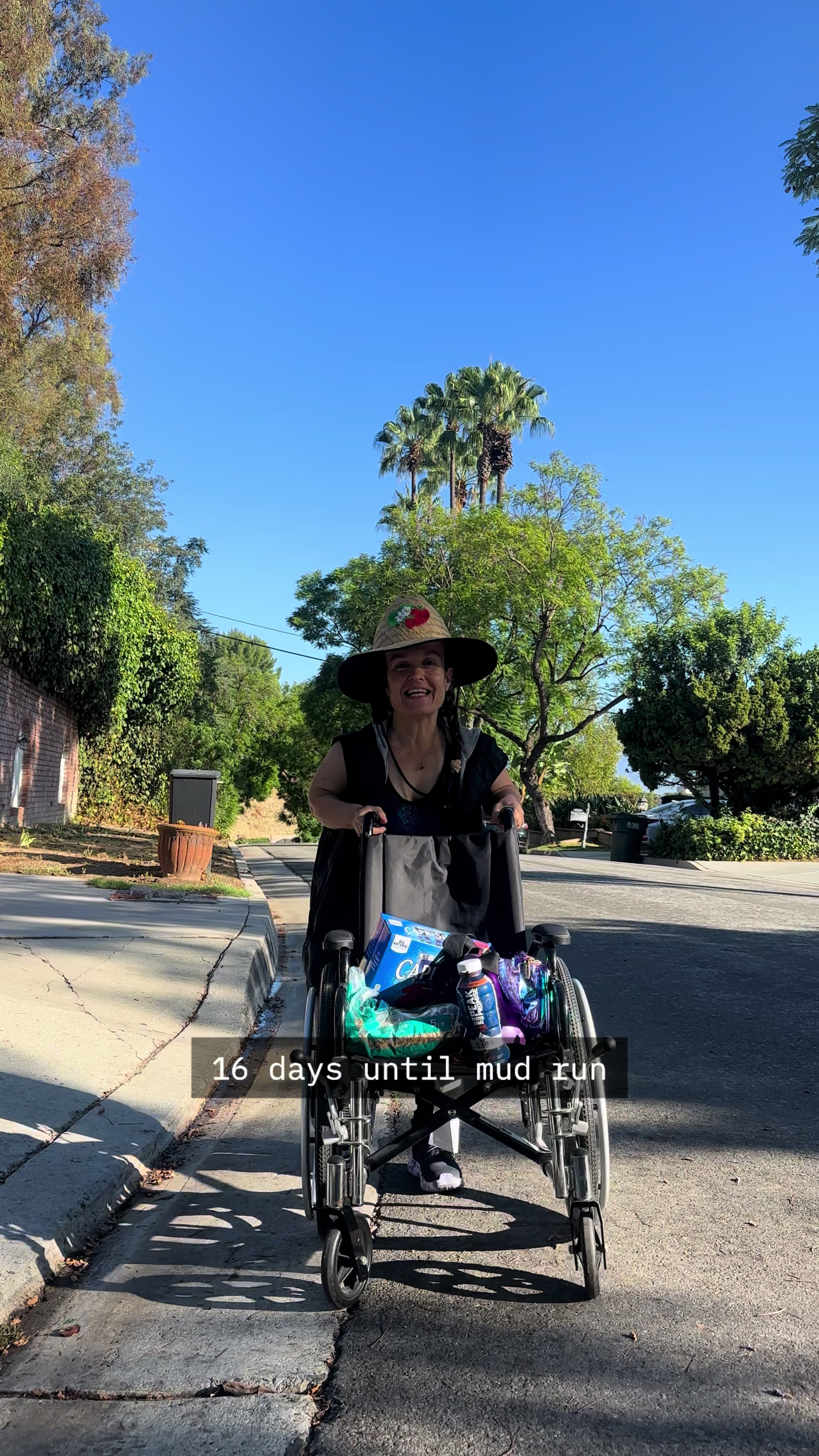 @Terra Jolé