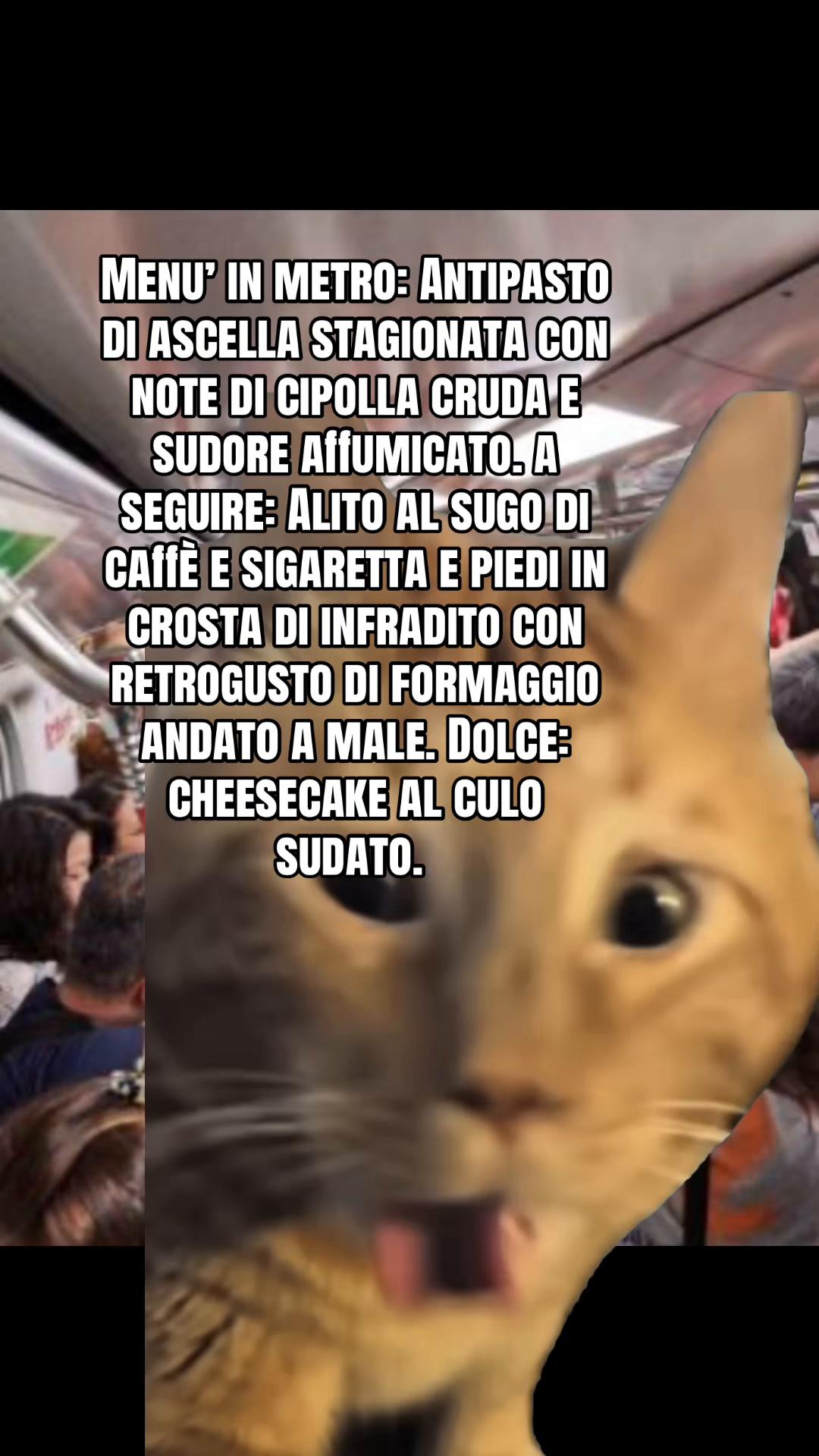 @Natascia Laura