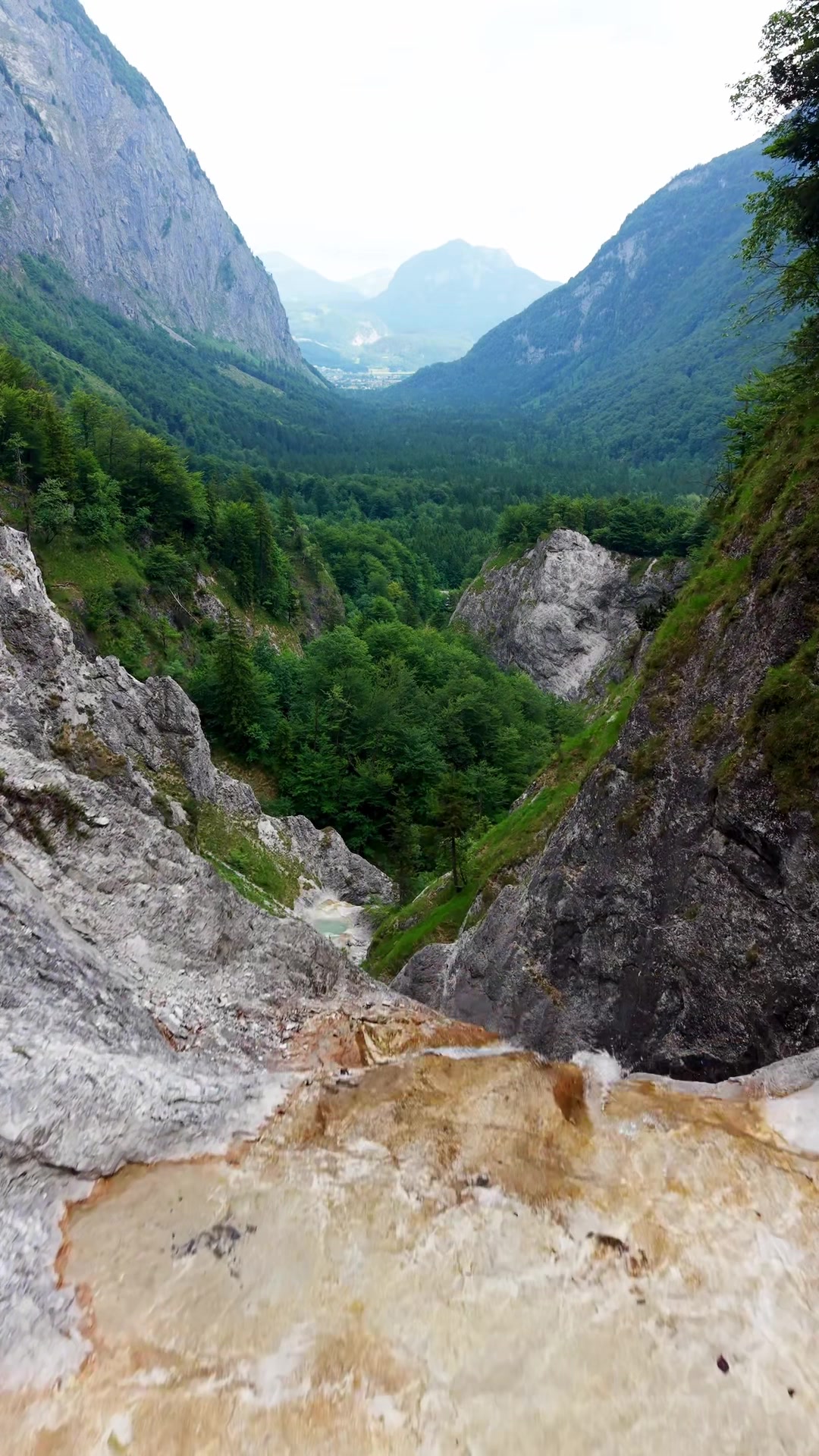 @Novaya