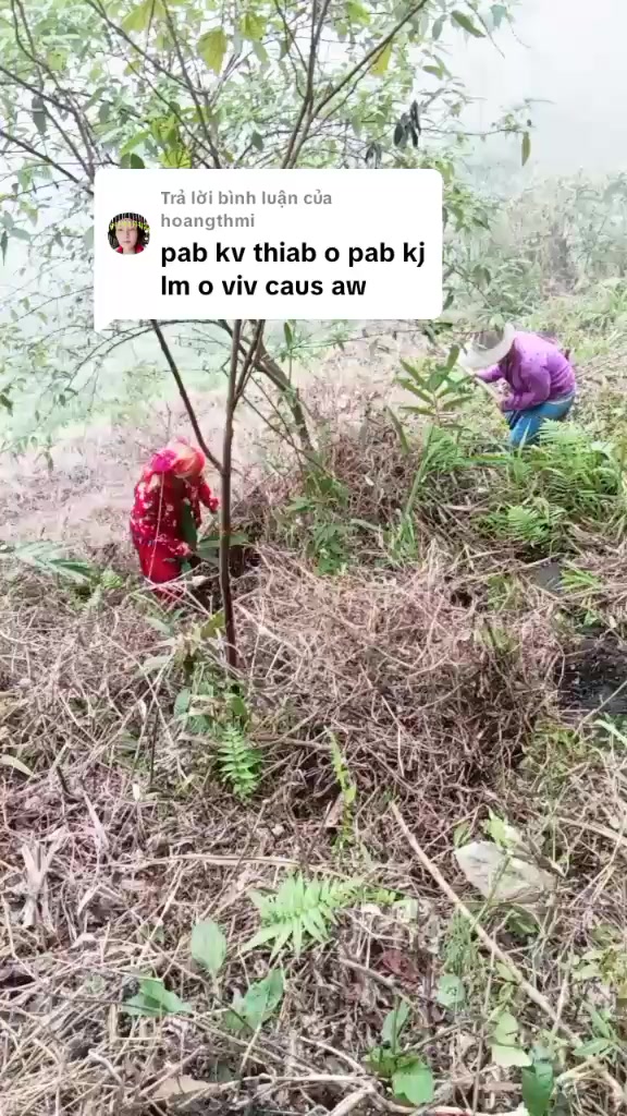 @yuam Kev xb
