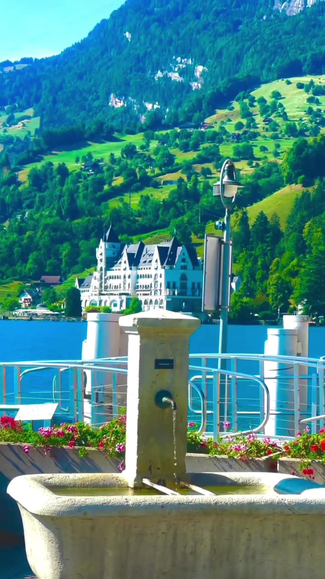 @S̳w̳i̳s̳s̳🇨🇭s̳c̳h̳w̳e̳i̳z̳