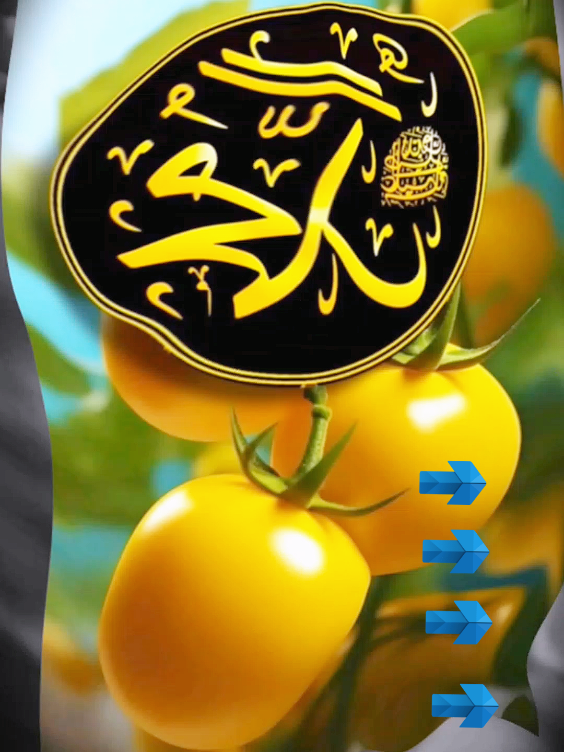 @اسلامیات
