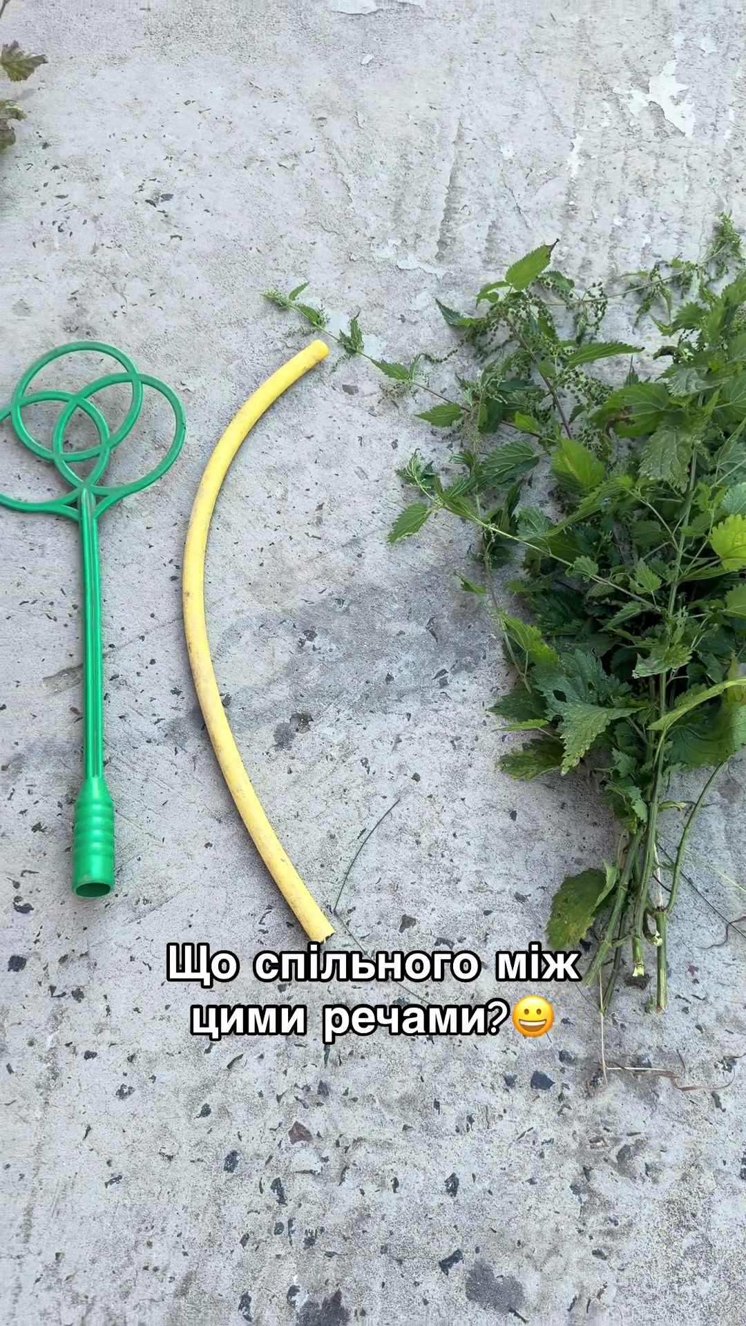 @Volynblog | Луцьк | Ковель