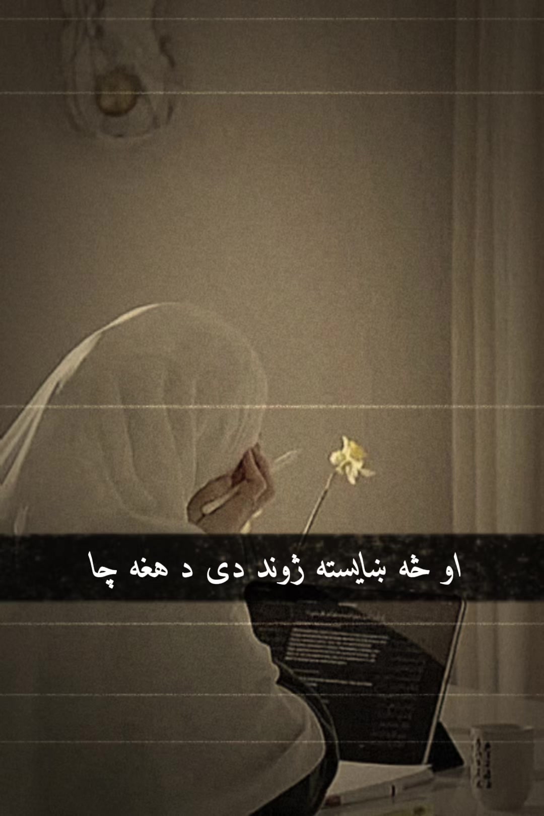 @🕊️ 𝓜𝓾𝓼𝓵𝓲𝓶 𝓰𝓲𝓻𝓵🕊️