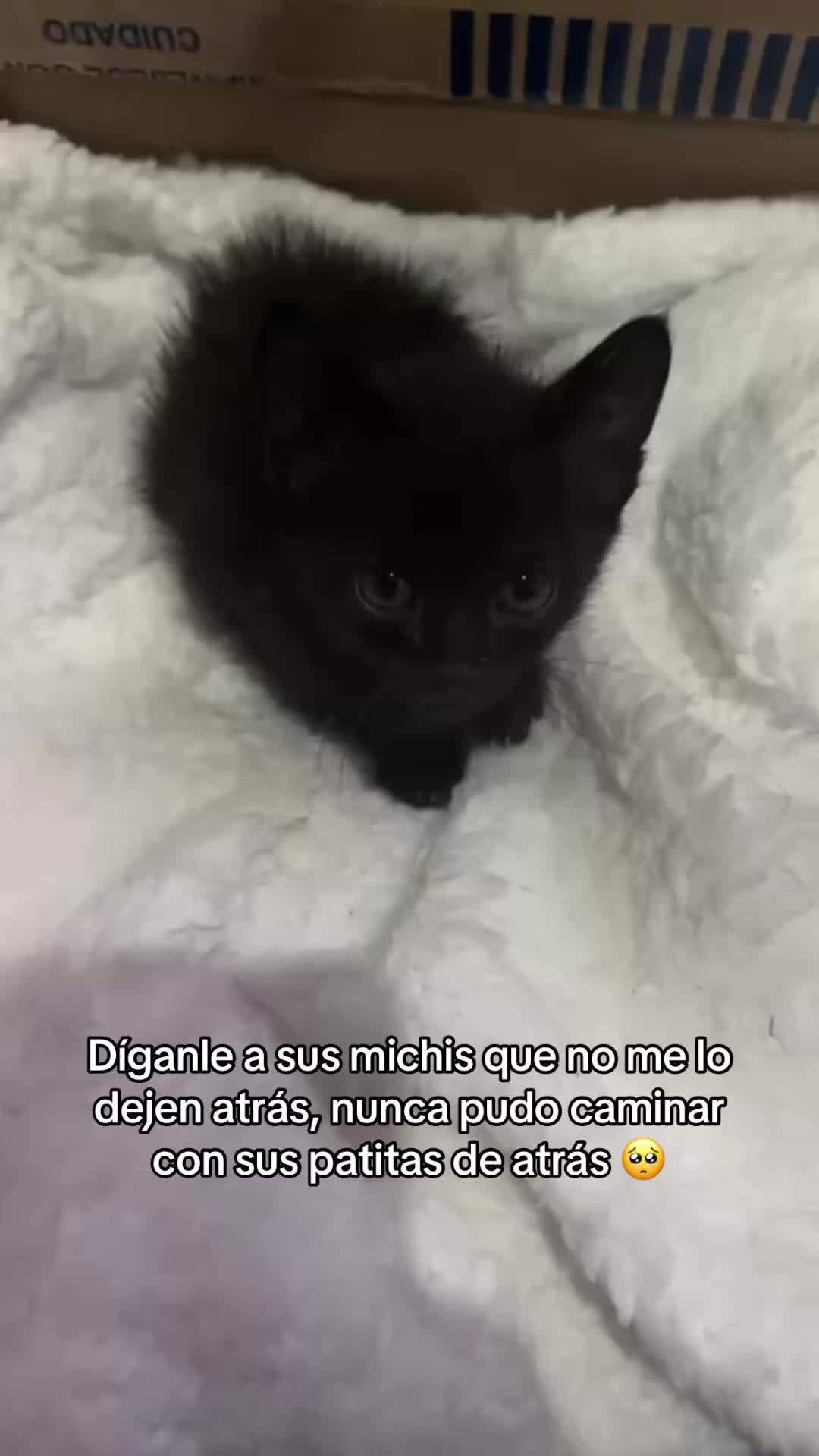 @Estefan&iacute;a Montero